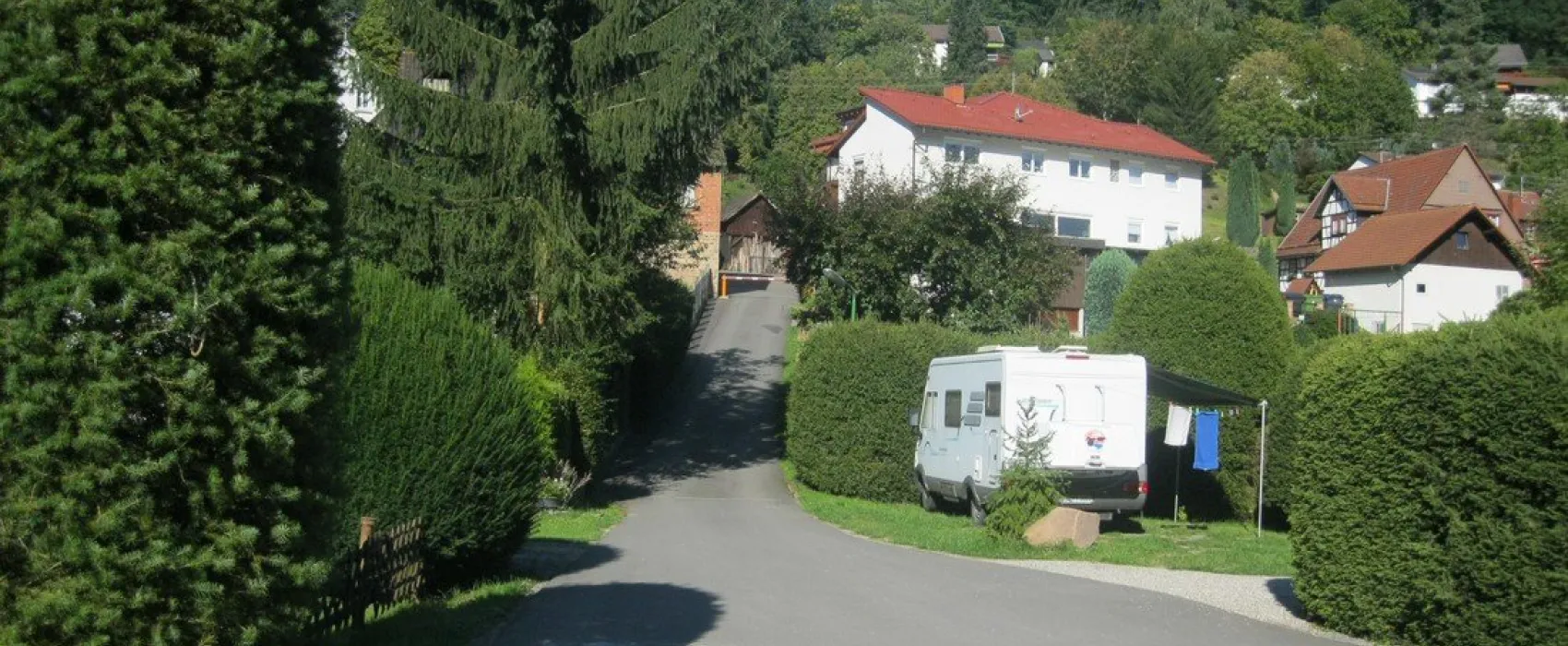 Steinachperle
