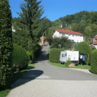 Steinachperle