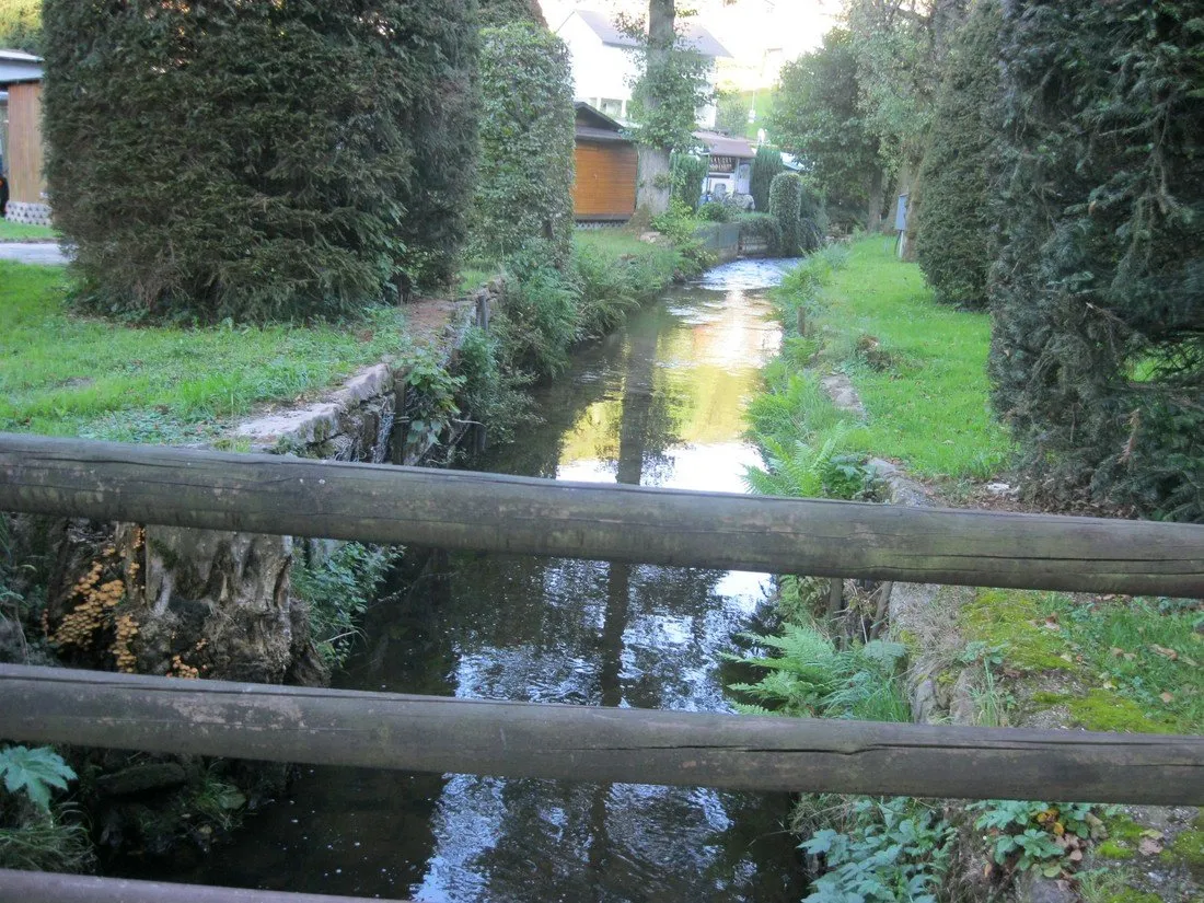 steinachperle-altneudorf-ngmo4