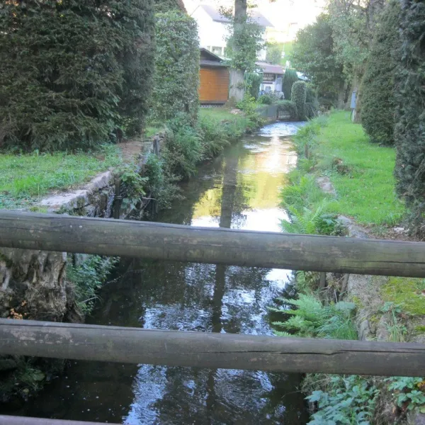 steinachperle-altneudorf-ngmo4
