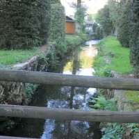 steinachperle-altneudorf-ngmo4