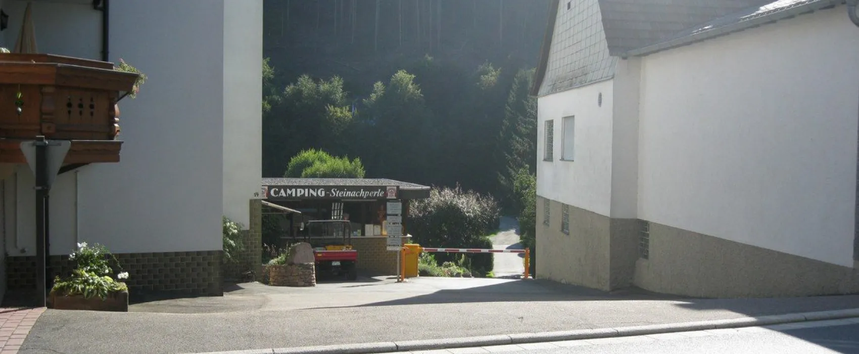 Steinachperle