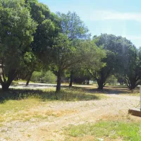 camping-la-casse-chateau-arnoux-st-auban-53klm