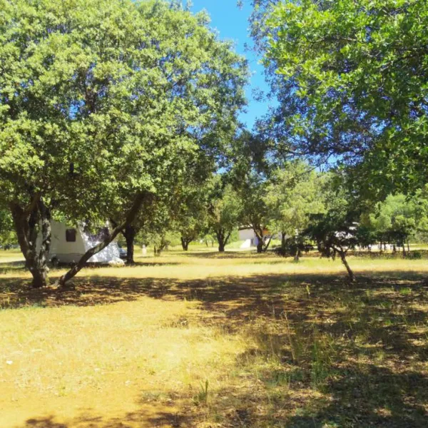 camping-la-casse-chateau-arnoux-st-auban-pzwlp