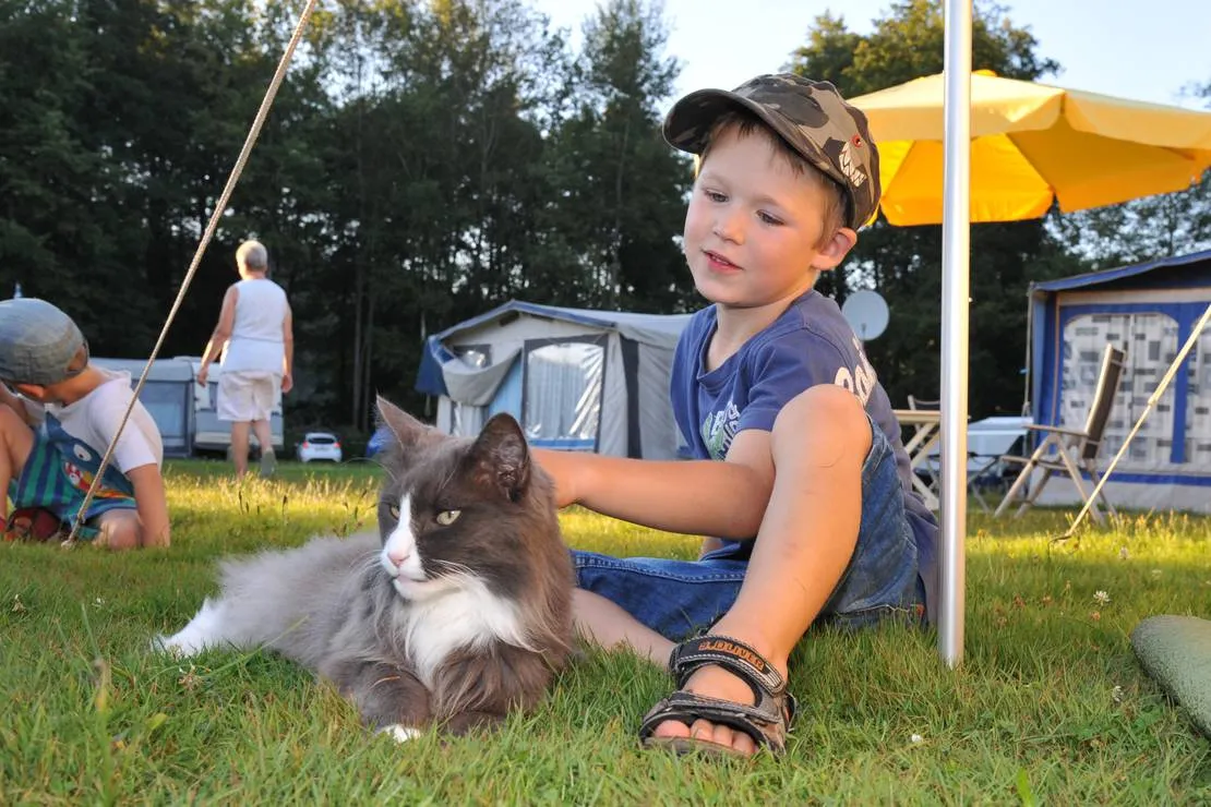 camping-hollensteinsee-viechtach-26ywr