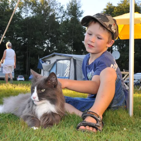 camping-hollensteinsee-viechtach-26ywr