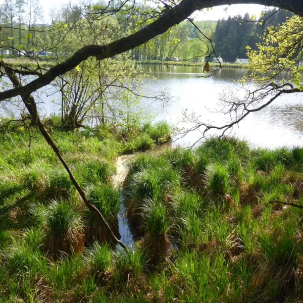 camping-hollensteinsee-viechtach-cvj8n