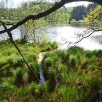 camping-hollensteinsee-viechtach-cvj8n