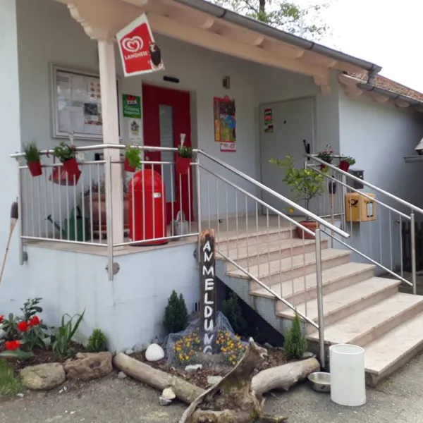camping-hollensteinsee-viechtach-ddiqf