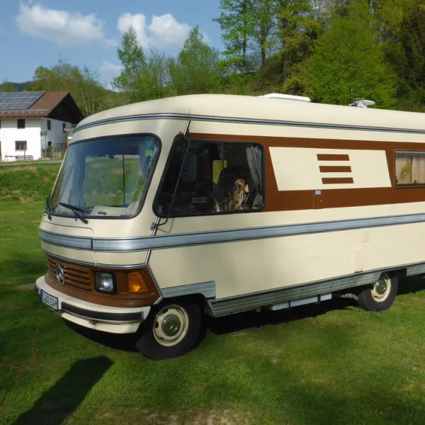 camping-hollensteinsee-viechtach-drvky