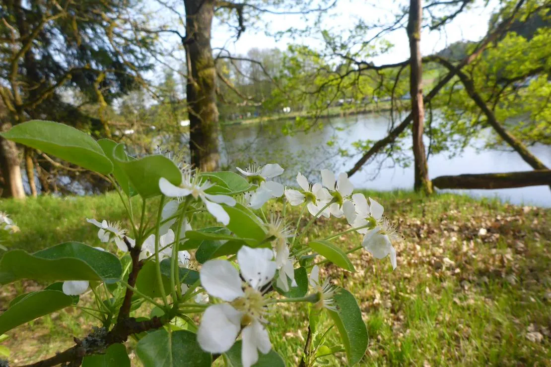 camping-hollensteinsee-viechtach-ilrx6