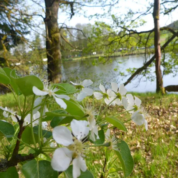 camping-hollensteinsee-viechtach-ilrx6