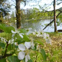 camping-hollensteinsee-viechtach-ilrx6