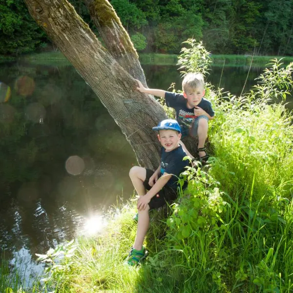 camping-hollensteinsee-viechtach-mmyqu