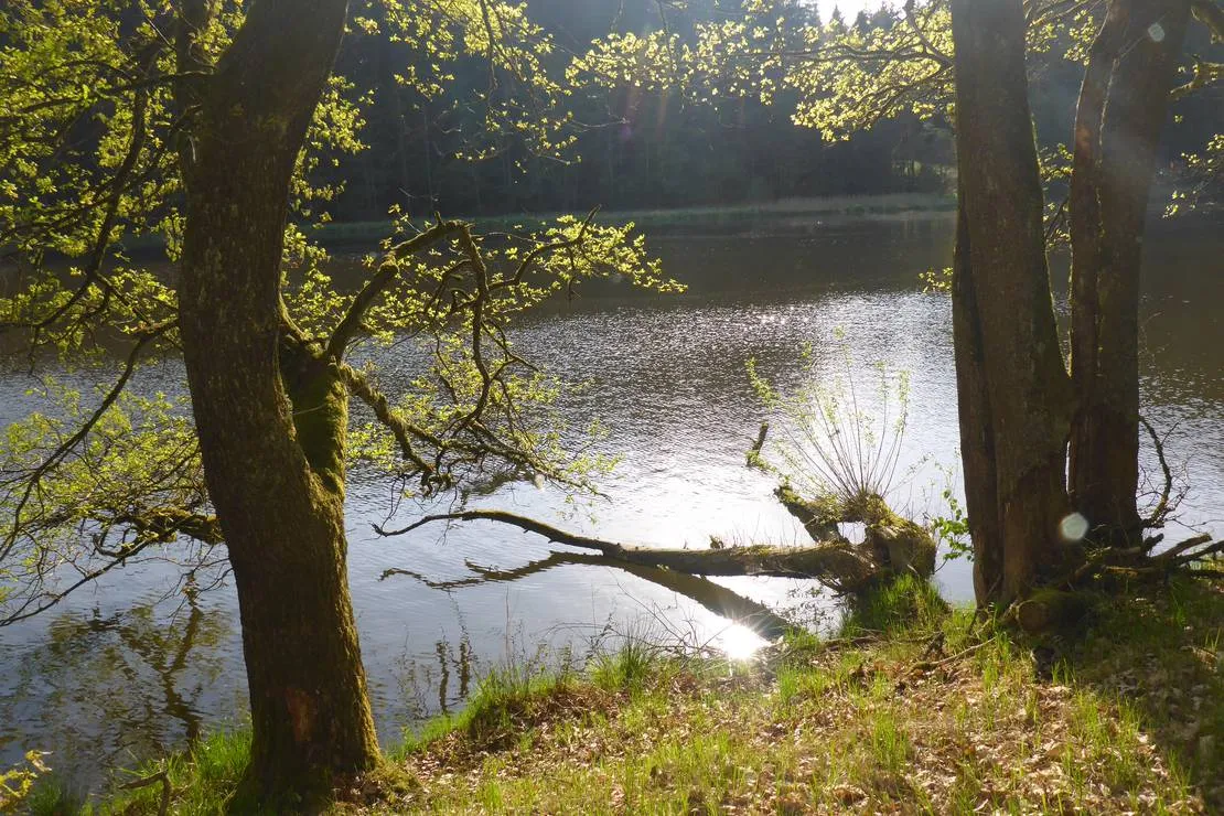 camping-hollensteinsee-viechtach-wucdo