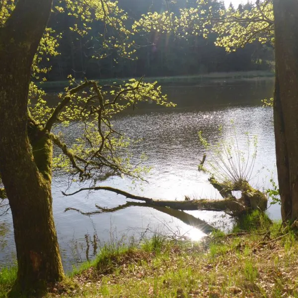 camping-hollensteinsee-viechtach-wucdo
