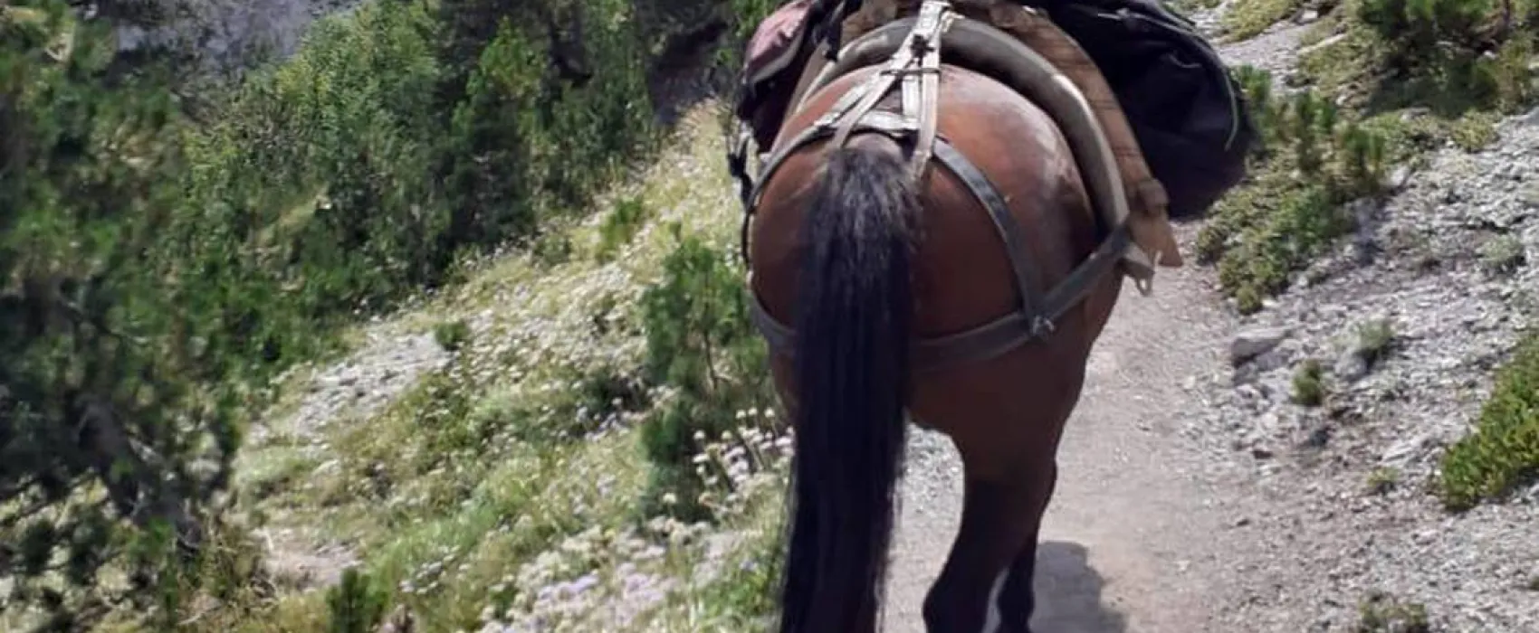 Valbona Eco Camping