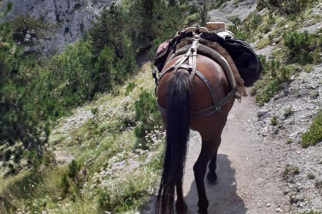 valbona-eco-camping-tropoje-za70v