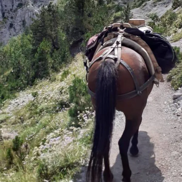 valbona-eco-camping-tropoje-za70v