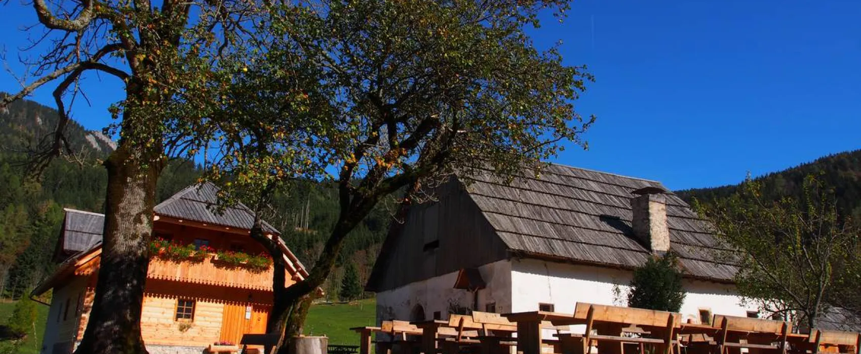 Senk's Homestead