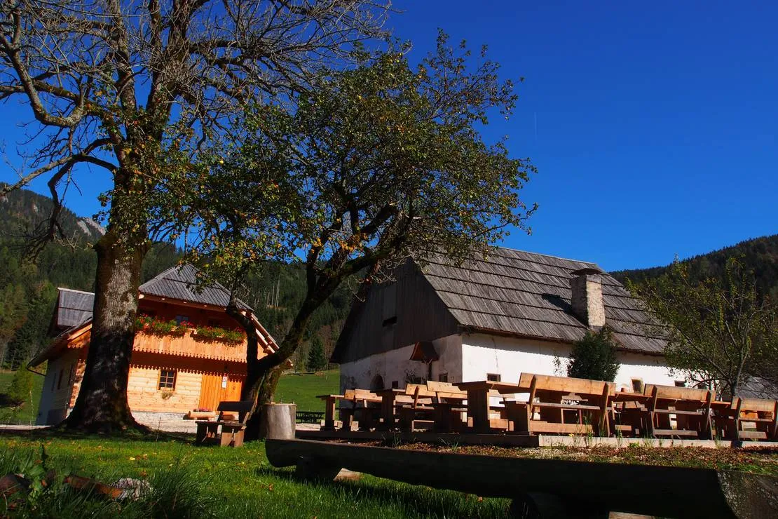 senks-homestead-zgornje-jezersko-ivgfs