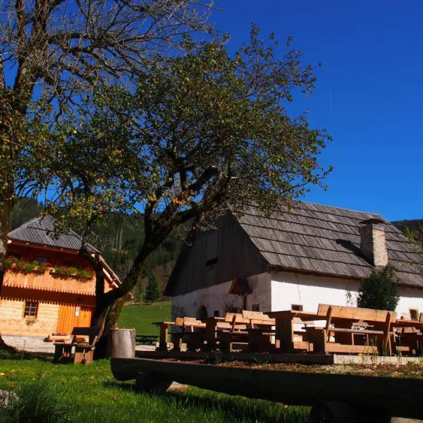 senks-homestead-zgornje-jezersko-ivgfs
