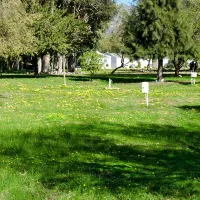 citrus-creek-caravan-park-chalets-yt3hc