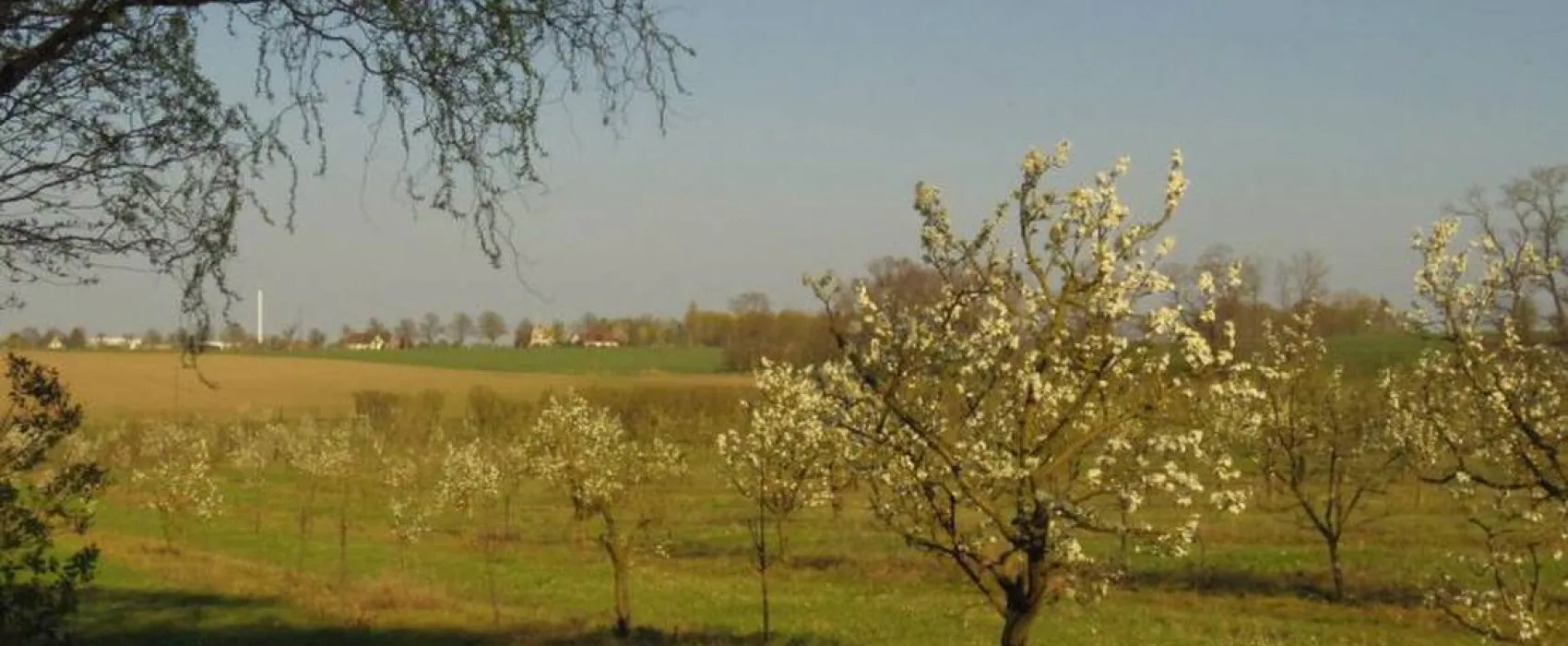 Camping Lindemühlenberg