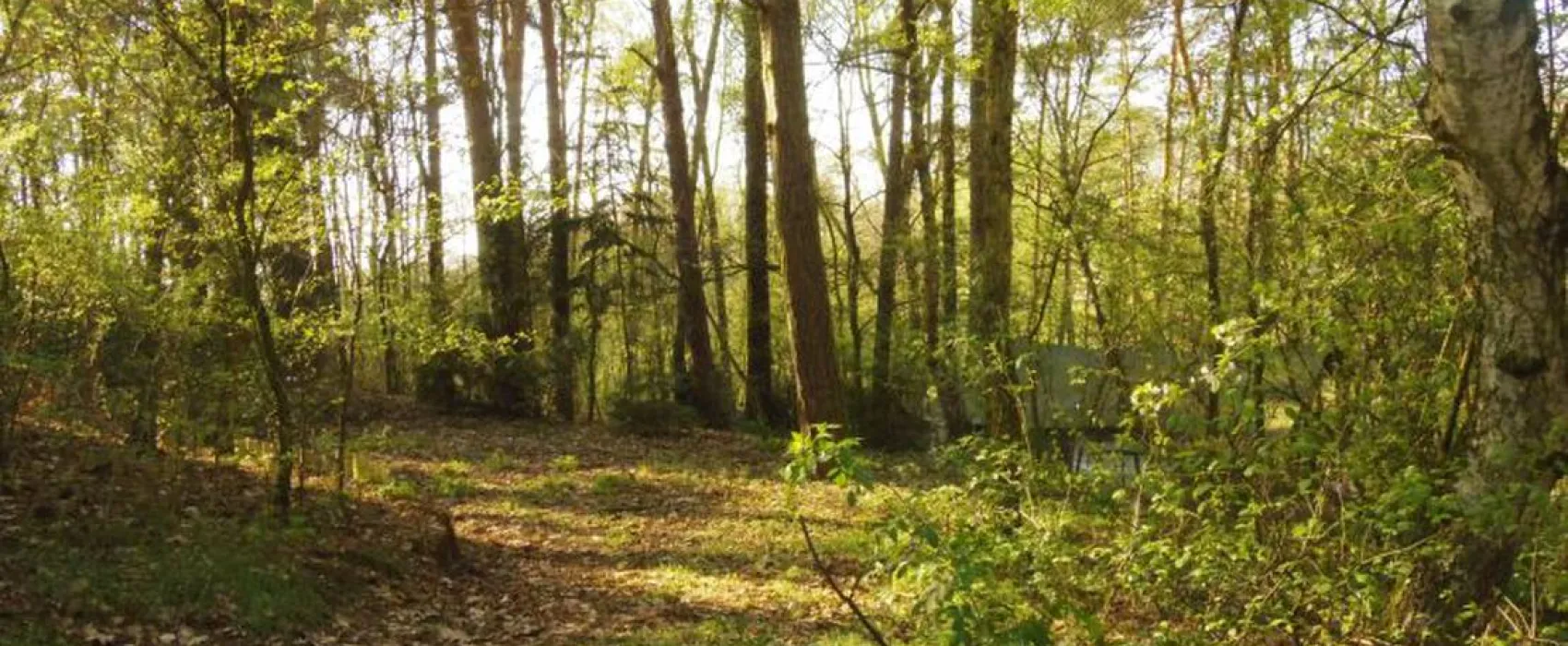 Camping Lindemühlenberg