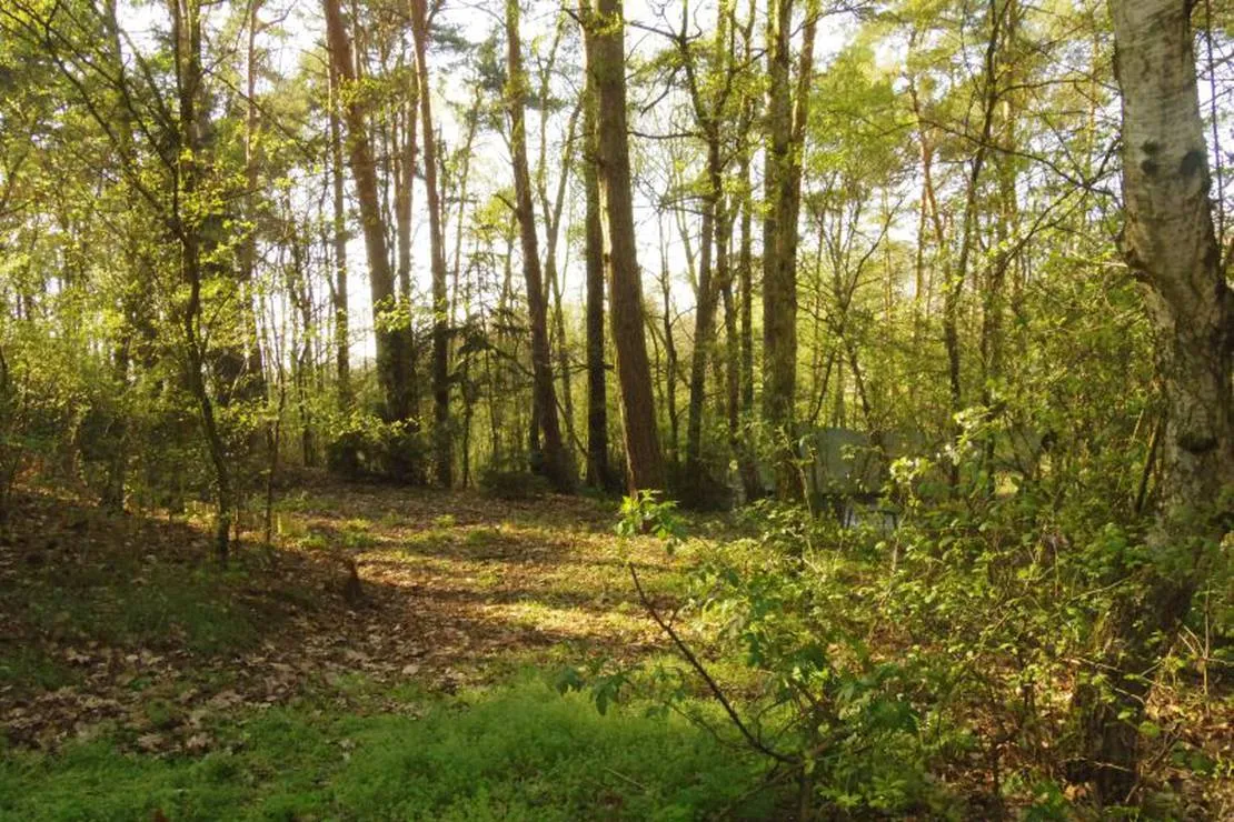 camping-lindemuhlenberg-mahlitzsch-bei-torgau-peaqk