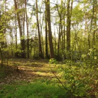 camping-lindemuhlenberg-mahlitzsch-bei-torgau-peaqk
