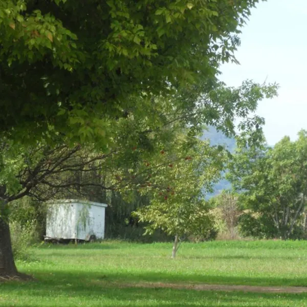 camping-aire-naturelle-la-bergerie-la-balme-de-sillingy-hvvf5