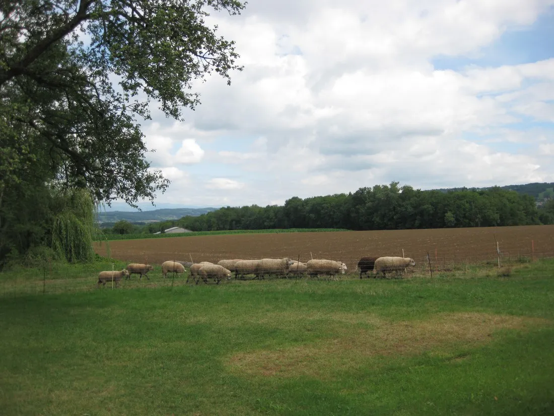 camping-aire-naturelle-la-bergerie-la-balme-de-sillingy-jmaxu