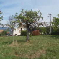 camping-aire-naturelle-la-bergerie-la-balme-de-sillingy-p75sd