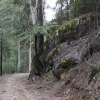 Kendalls (B) Campground