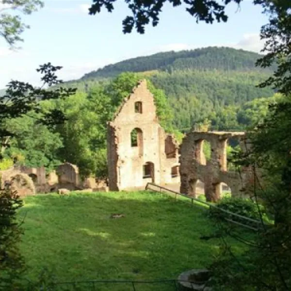 maintal-collenberg-hgujo