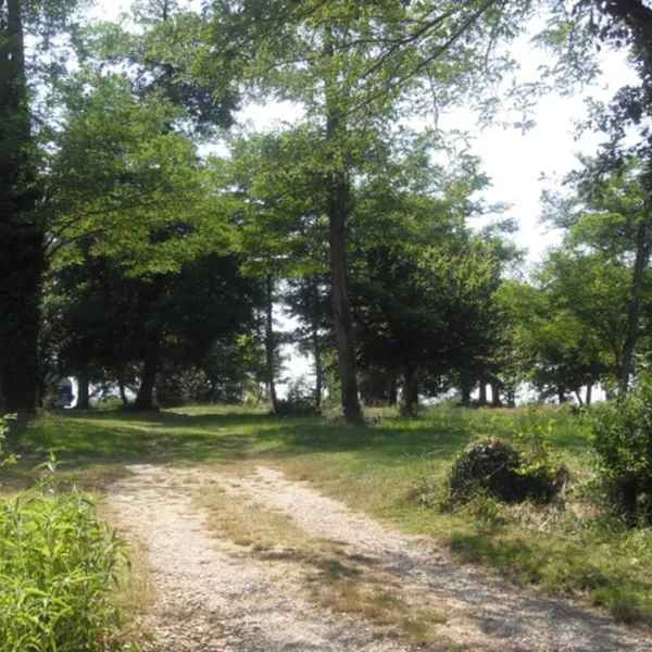 camping-a-la-ferme-de-laillon-condom-9dliw