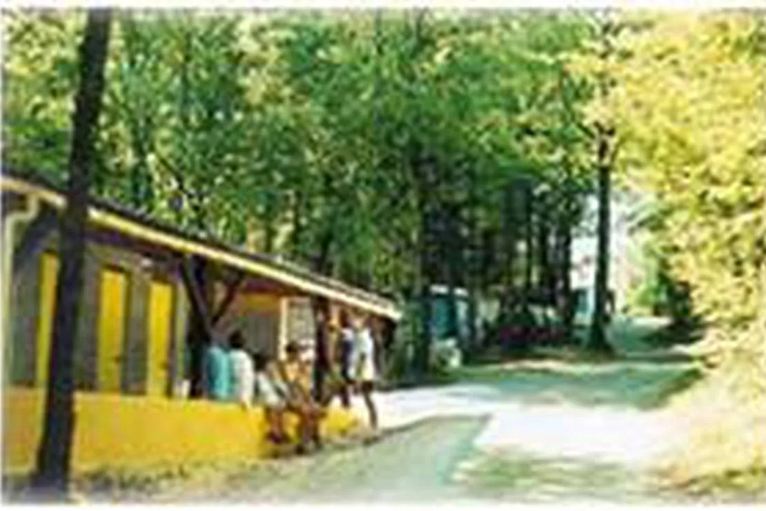 camping-a-la-ferme-de-villeneuve-lartigue-selws