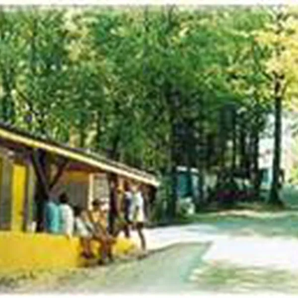 camping-a-la-ferme-de-villeneuve-lartigue-selws