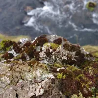 stapagljufur-canyon-campsite-mosfellsbaer-bu7nl