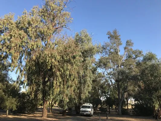 basalt-campground-gustine-kydqy