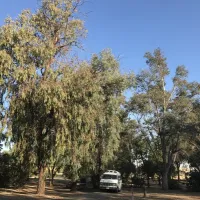 basalt-campground-gustine-kydqy