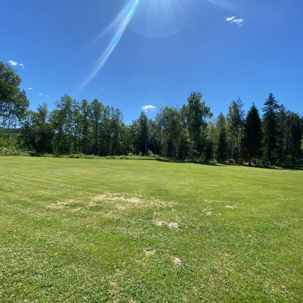 sf-gardens-camping-ransater-szh5q
