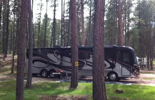big-pine-campground-custer-zv8iq