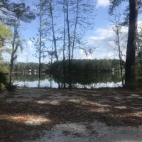 lake-harmony-rv-park-townsend-gyp1b
