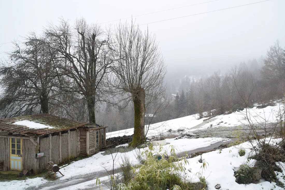 casa-boslimpre-ban-sur-meurthe-m4jvy