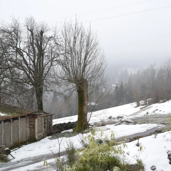 casa-boslimpre-ban-sur-meurthe-m4jvy