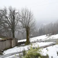 casa-boslimpre-ban-sur-meurthe-m4jvy