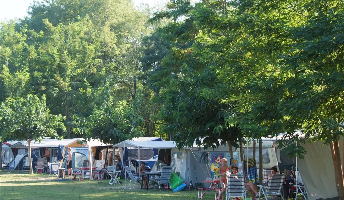 la-coquille-bagnols-sur-cegraveze-gard-9pwcl