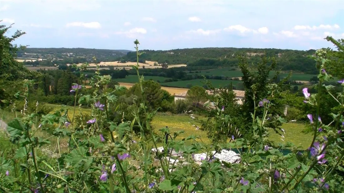 la-coquille-bagnols-sur-cegraveze-gard-fqqwg